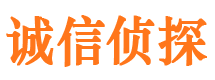 昭苏调查事务所